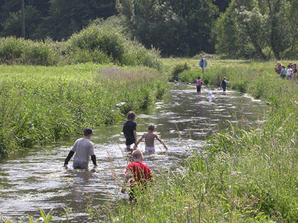 Haus Am Kastanienwald Region